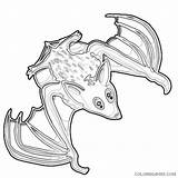 Bat Coloring Drawings Coloring4free Related Posts sketch template