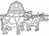 Coloring Farm Animal Pages Cows Animals Printable Herd Kids Print Cool2bkids Size sketch template