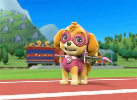 paw patrol images skye the cockapoo hd wallpaper and background photos