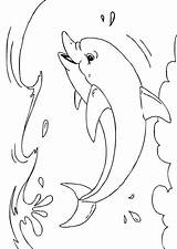 Dolfijn Kleurplaat Delfin Kleurplaten Dolfijnen Dieren Dauphin Malvorlage Coloriage Delfino Schoolplaten Printen Afbeeldingen Afb Vissen Schilderijen Ijsland Kleuters Tatoo Patronen sketch template