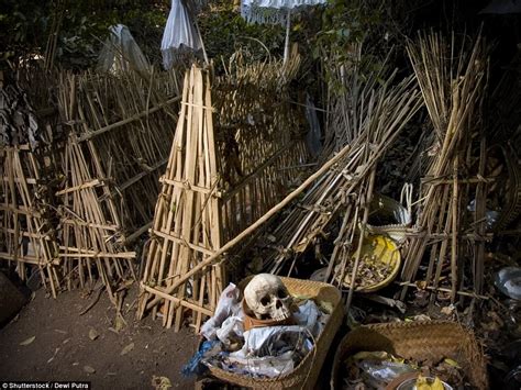 Trunyan The Balinese Village Where Bodies Rot In Cages Daily Mail Online