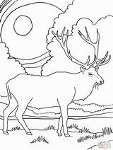 Coloring Elk Pages Mountain Printable Rocky Mountains Drawing Scenery Color Daily Deer Head Bull Simple Supercoloring Kids Online Template Getdrawings sketch template