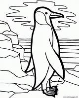 Penguin Coloring Pages Lonely Printable Color Book sketch template