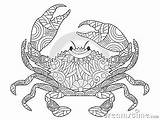 Crab Zentangle Crustaceans Decapod Stress sketch template