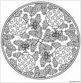 Christmas Mandala Pages Baubles Coloring sketch template