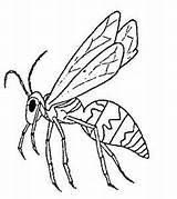 Avispas Insekten Wasp Malvorlagen Insecten Calabrone Kleurplaat Zanzara Kleurplaten Vespa Vorschule Malvorlagen1001 Mewarnai Serangga Kolorowanki Bergerak Wasps Animierte Gify Insekt sketch template