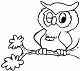 Colorir Coruja Eulen Eule Coloringhome Owl Clipartmag Imagensemoldes sketch template