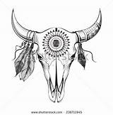 Skull Bull Drawing Tattoo Skulls Animal Stock Cow Buffalo Drawings Shutterstock Tattoos Vector Head Template Vectors Taurus Native Bison Pencil sketch template