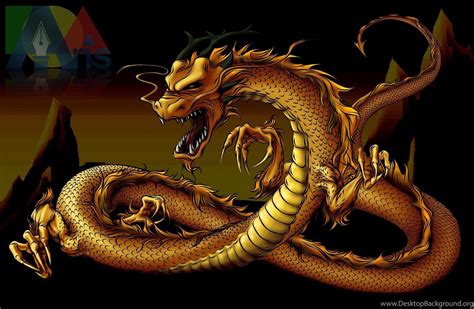 golden dragon wallpaper hd  android images pictures myweb