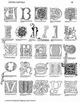 Illuminated Gothic Letters Calligraphy Alphabet Kells Book Medieval Assorted Margaret Shepherd Illumination Lettering Capitals Manuscript Letter Monogram Penmanship Manuscripts Goth sketch template
