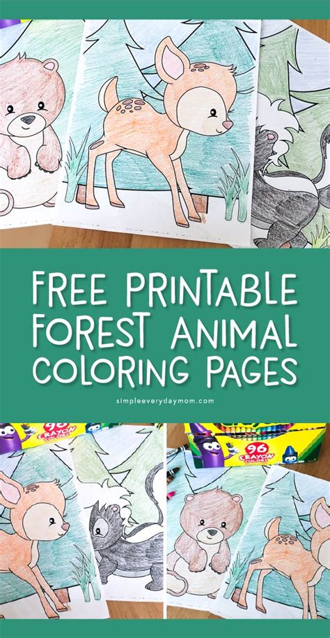 printable woodland animal coloring pages  kids