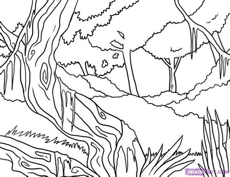 wikeyezhukacom jungle coloring pages jungle drawing coloring pages