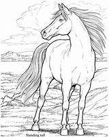 Coloring Pages Dover Adult Horse Horses Colouring Sheets sketch template