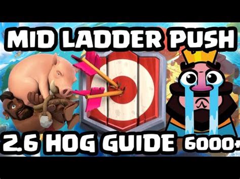 hog cycle guide youtube