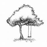 Schaukel Baum Zeichnen Oak Bleistift Zeichnung sketch template