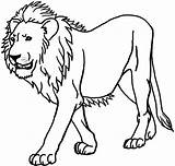 Lion Pages Female Colouring Use These Coloring sketch template