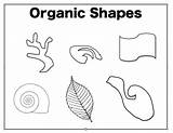Organic Shapes Shape Geometric Drawing Lines Elements Natural Example Look Grade Drawings Line Poster Do Handouts Education Principles Classroom Visual sketch template