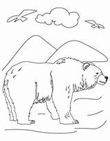 Bear Alabama State Coloring Mammal Pages Symbols Popular Comments sketch template