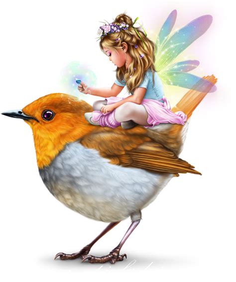 fairy bird png  image png  png