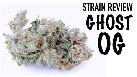 ghost og strain review og kush youtube