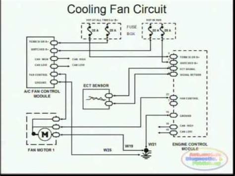 cooling fan wiring diagrams  buick century  faceitsaloncom