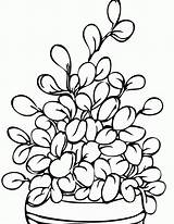 Coloring Pages Plants Printable House Popular sketch template