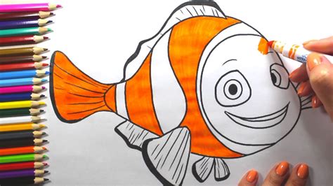 clown fish  simple drawing  children colouring