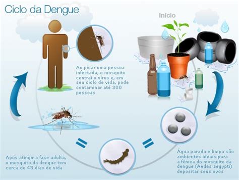 rosabio dengue um problema de saúde pública