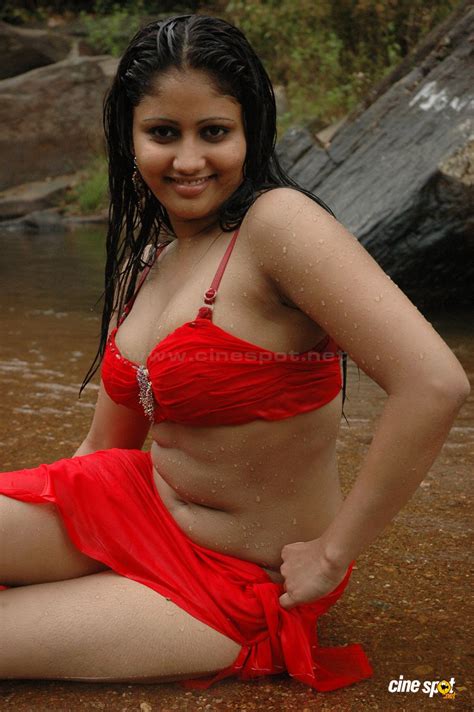 Hot Celebrities Telugu Actress Blouse Navel Wet Hot Pics