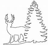 Saw Patterns Scroll Tree Christmas Wood Pattern Stencil Craft Deer Beginners Projects Line Woodworking Stencils sketch template