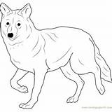 Coyote Coloring Pages Kids Coloringpages101 sketch template