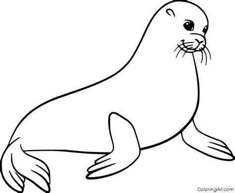 printable sea lion coloring pages  vector format easy