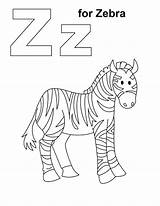 Pages Stripes Coloring Zebra Color Getcolorings sketch template