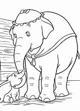 Dumbo Colorear Elefante Pobarvanka Disegni Slon Malvorlagen Ausmalbild Barbi Kostenlos Familie sketch template