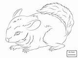 Chinchilla Coloring Pages Kids Getdrawings Drawing sketch template