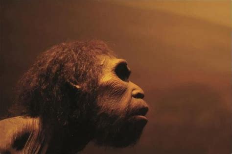 neanderthals humans interbred earlier than scientists thought