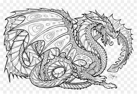 printable coloring pages  adults advanced dragons mythical