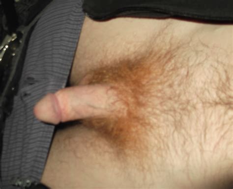 redhead my dick new pics ginger cock hairy redhead pubes high def