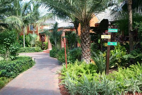 marley resort spa nassau hotels review  experts  tourist