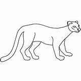 Fossa Coloring Draw Step Learn Designlooter Animals Quick Sketch Tutorial 300px 99kb sketch template