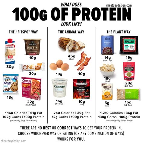 protein    visual guide