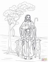 Coloring Jesus Shepherd Good Pages Printable Bible Kids Catholic Color Sheets Sheep Supercoloring Crafts Colouring Sunday God Parables Lamb Adult sketch template