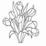 Tulips Tulipani Ornamental Tulpen Tulipes Tulipany Fiori Tulip Kolorowanki Schwarzweiss Dekorative Kwiaty Tulipan Blanches Coloration Noires Ornementales Tulipanes Coloritura Ornamentali sketch template