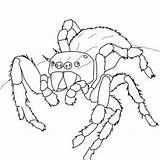 Spider Coloring Crab Designlooter Jumping Daring 86kb 300px sketch template