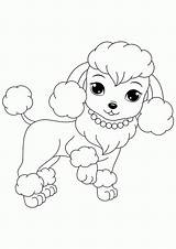 Coloring Pages Poodles Poodle Printable Puppies Dogs Kids Popular sketch template