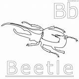 Beetle Pages Darkling Hercules Stag Sheets Coloringbay sketch template