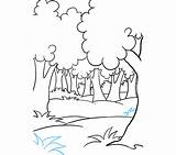 Rainforest Ecosystem Easydrawingguides sketch template
