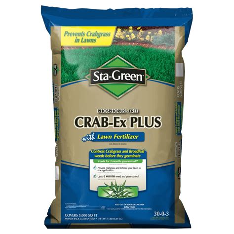 crabgrass  dallisgrass  lawn forum