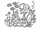 Coloring Reef Coral Pages Sea Fish Group Kids Color sketch template