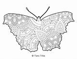 Mandala Coloring Animal Pages Butterfly sketch template